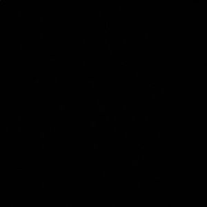 Meet your Posher, Jared